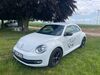 VW Beetle siebeldingen