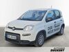 Fiat Panda walhausen
