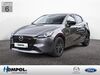 Mazda 2 neulietzegoericke