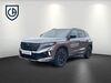 Renault Austral meinborn