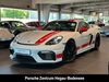 Porsche Cayman schenkenzell