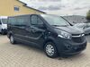 Opel Vivaro hornburg