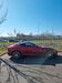 Jaguar F-Type dankmarshausen