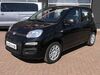 Fiat Panda Deutschland
