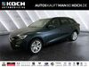 Seat Leon Schönebeck