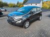 Ford EcoSport gusenburg