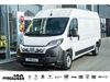 Fiat Ducato nieder-hilbersheim