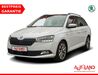 Skoda Fabia bueddenstedt
