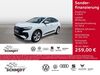 Audi Q4 e-tron ruttersdorf-lotschen