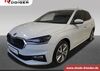 Skoda Fabia kreis|tuebingen