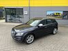 Audi SQ5 Leer (Ostfriesland)