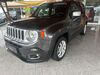 Jeep Renegade teichweiden