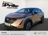 Nissan Ariya Schöfweg