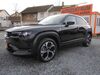 Mazda MX-30 ober-hilbersheim