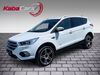 Ford Kuga kreis|lahn-dill-kreis