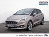 Ford Fiesta Büddenstedt