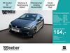 Seat Ibiza enzkloesterle