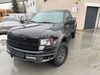 Ford F 150 schoena-kolpien