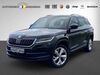 Skoda Kodiaq heupelzen
