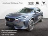 Cupra Formentor schenkenzell