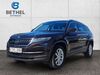 Skoda Kodiaq roehrig