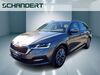 Skoda Octavia schoena-kolpien