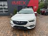 Opel Insignia hornburg