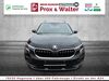 Skoda Kamiq picher