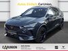 Cupra Formentor schwallungen