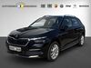 Skoda Kamiq kreis|rheingau-taunus-kreis