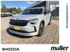 Skoda Kodiaq schoena-kolpien
