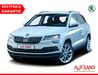 Skoda Karoq kreis|tuebingen