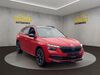 Skoda Kamiq dankmarshausen