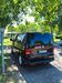 VW T6 Multivan harzungen
