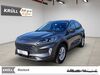 Ford Kuga wattmannshagen