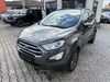 Ford EcoSport Schöfweg
