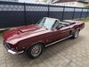 Ford Mustang grafenhausen