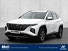 Hyundai TUCSON hoehr-grenzhausen