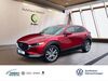 Mazda CX-30 Münchweiler am Klingbach