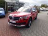 Skoda Kodiaq dankmarshausen