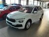 Skoda Kamiq Herl