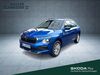 Skoda Kamiq roedelhausen