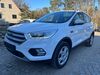 Ford Kuga saalow