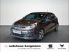 Kia Rio dankmarshausen