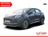 Ford Puma kreis|suedliche-weinstrasse