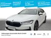 Skoda Superb schoena-kolpien