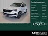 Skoda Karoq kreis|erlangen-hoechstadt