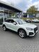 Audi Q2 gruenstadt