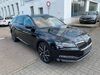 Skoda Superb pouch