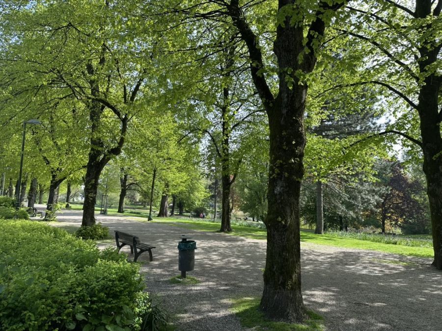 Foto